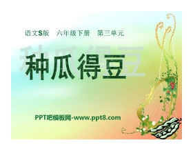 《种瓜得豆》PPT课件