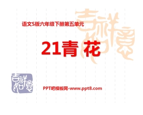 《青花》PPT课件2