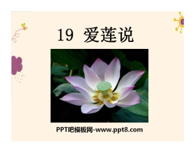 《爱莲说》PPT课件8