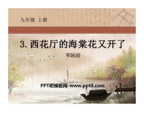 《西花厅的海棠花又开了》PPT课件2