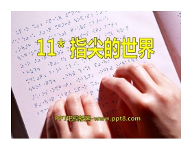 《指尖的世界》PPT课件