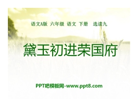 《黛玉初进荣国府》PPT课件3