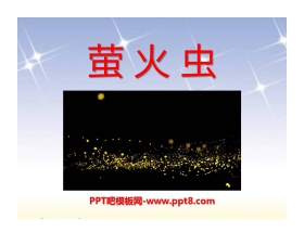 《萤火虫》PPT课件