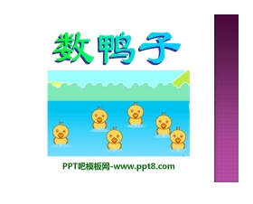 《数鸭子》PPT课件