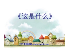 《这是什么》PPT课件