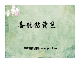 《喜鹊钻篱笆》PPT课件