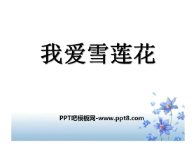 《我爱雪莲花》PPT课件