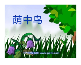 《荫中鸟》PPT课件