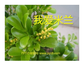《我爱米兰》PPT课件