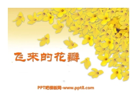 《飞来的花瓣》PPT课件3