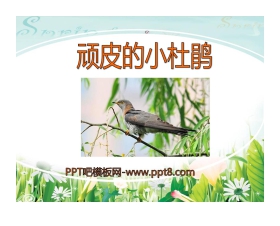 《顽皮的小杜鹃》PPT课件4