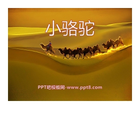 《小骆驼》PPT课件