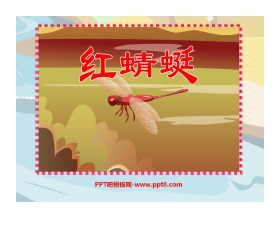 《红蜻蜓》PPT课件2
