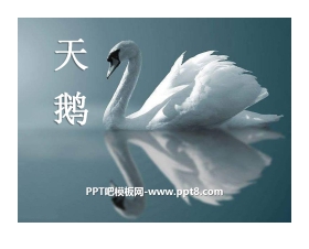 《天鹅》PPT课件