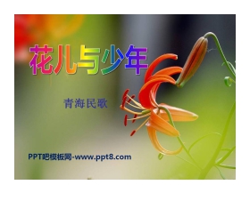 《花儿与少年》PPT课件