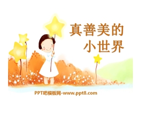 《真善美的小世界》PPT课件3