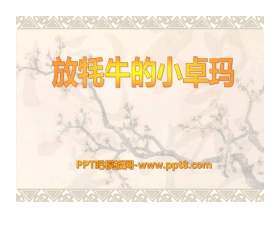 《放牦牛的小卓玛》PPT课件