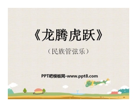 《龙腾虎跃》PPT课件