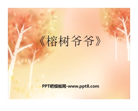 《榕树爷爷》PPT课件