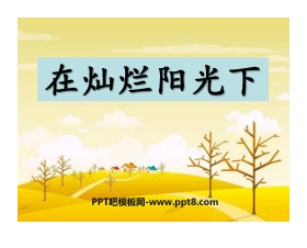 《在灿烂阳光下》PPT课件