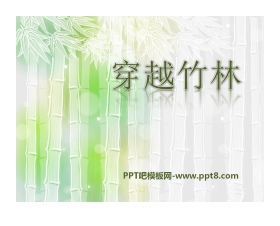 《穿越竹林》PPT课件