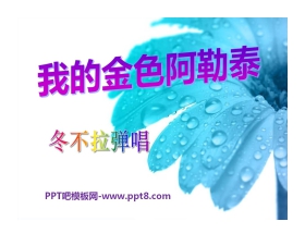 《我的金色阿勒泰》PPT课件