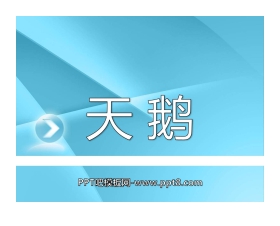《天鹅》PPT课件2