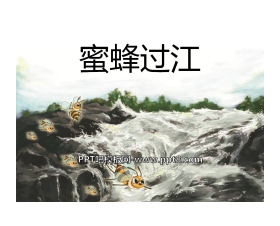 《蜜蜂过江》PPT课件