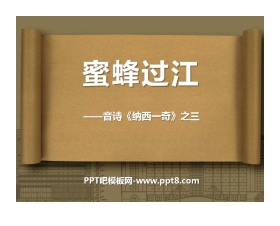 《蜜蜂过江》PPT课件3