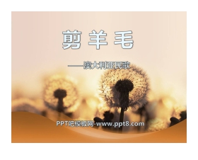 《剪羊毛》PPT课件3
