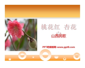 《桃花红杏花白》PPT课件