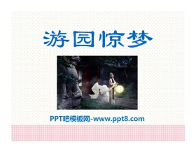 《游园惊梦》PPT课件2