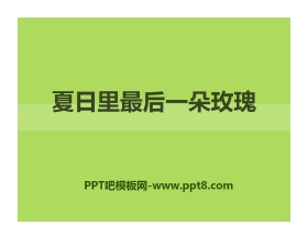 《夏日里最后一朵玫瑰》PPT课件