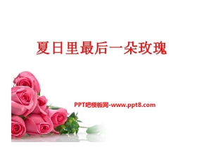 《夏日里最后一朵玫瑰》PPT课件3