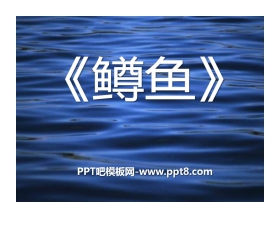 《鳟鱼》PPT课件5