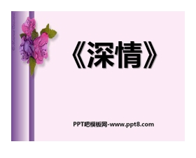 《深情》PPT课件