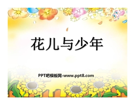 《花儿与少年》PPT课件2