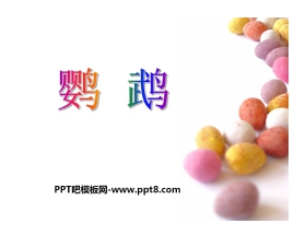《鹦鹉》PPT课件2