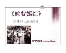 《姹紫嫣红》PPT课件3