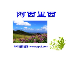 《阿西里西》PPT课件3