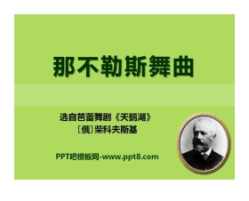 《那不勒斯舞曲》PPT课件2