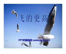 《飞的更高》PPT课件