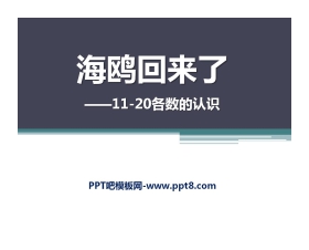 《海鸥回来了》PPT课件