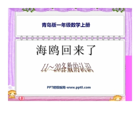 《海鸥回来了》PPT课件2
