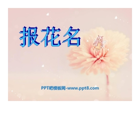 《报花名》PPT课件
