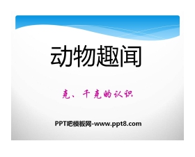 《动物趣闻》PPT课件