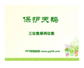 《保护天鹅》PPT课件3