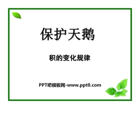 《保护天鹅》PPT课件4