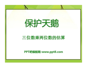《保护天鹅》PPT课件5