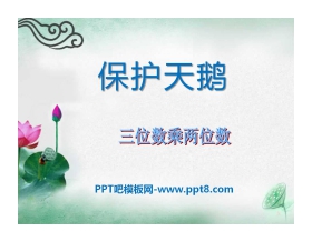 《保护天鹅》PPT课件6